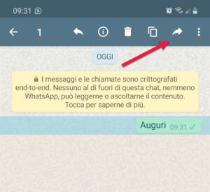 come inviare messaggi multipli su whatsapp