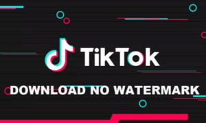 caricare video da tik tok senza logo filigrana